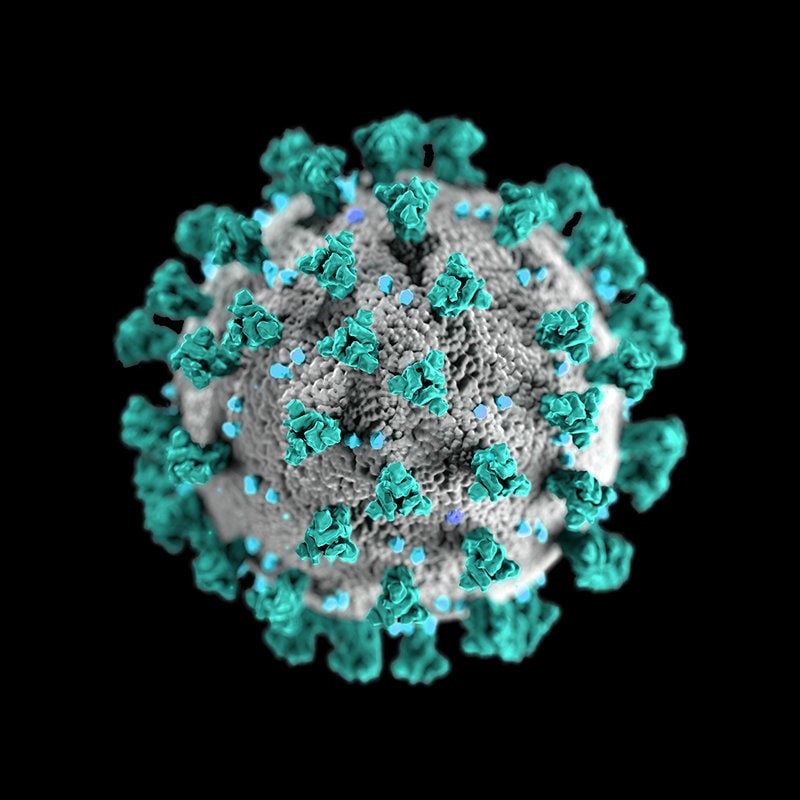 Matagorda County posts 67 new positive COVID-19 cases
